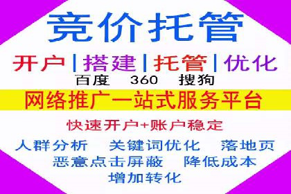 精准投放，高效转化——网站sem托管的胜利案例